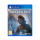 Gra PS4 PlayStation Unknown 9: Awakening